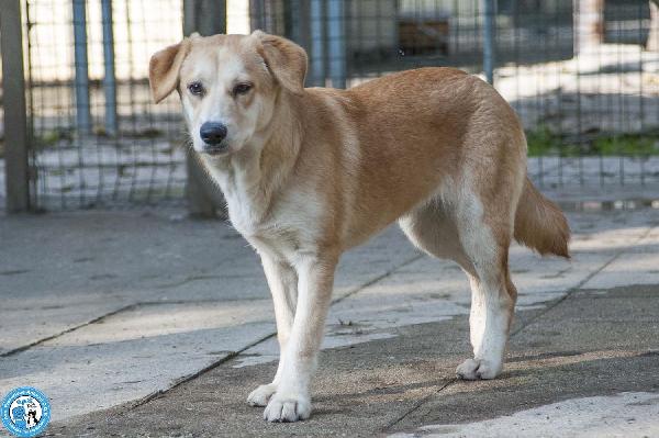 Pimpa, la timidezza che chiede tempo.. Foto 4